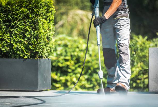 Animal Enclosure Cleaning in California, MO